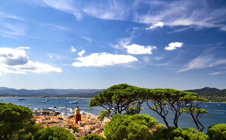 ZEUS Limousine | Logo